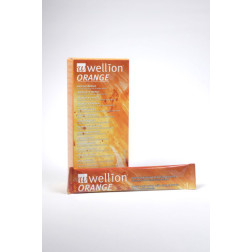 Wellion Flüssigzucker Orange, 10 x 13 ml, 1 Stück