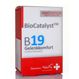 BioCatalyst B19 Gelenkkomfort Kapseln, 60 Stück