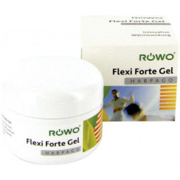 Röwo Flexi Forte-Gel, 100 ml, 1 Stück