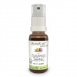 Bitterkraft Original Spray, 20 ml, 1 Stück