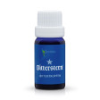 Bitterstern Bittertropfen (Mixtur) 10 ml, 1 Stück