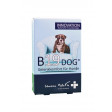 BioCatalyst B19 DOG (Hunde) Kapseln, 30 Stück